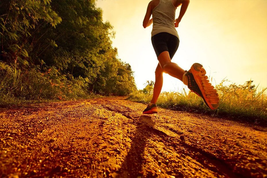 Activación muscular: ¿cuál es más completo?