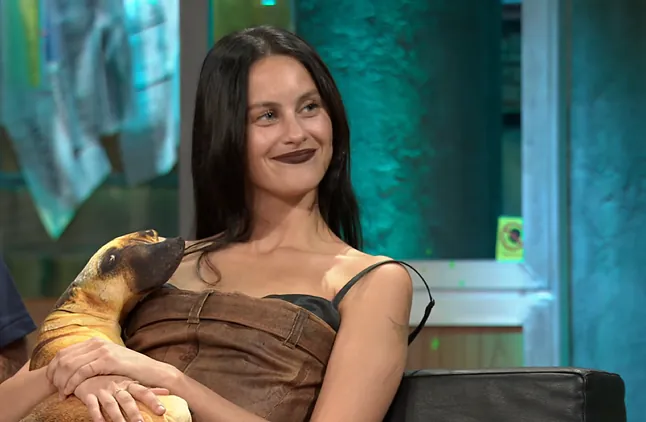 Cualquier puede comprar aquí el cojín de perro de 'La Revuelta' que tanto da que hablar 