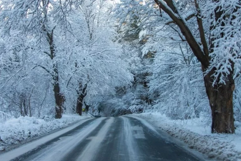 El Centro Coordinador de Emergencias de la Junta de Castilla y León ha enviado un mensaje de aviso a la población a través del sistema 'ES-ALERT' ante el "riesgo extremo por nevadas" en el que recuerda que está vigente el aviso rojo en la Cordillera Cantábrica de León y Palencia, si bien el centro de emergencias 112 ha atendido hasta el momento un "par de avisos" por problemas de nieve en la comunidad. En el mensaje también ha informado que Protección Civil ha declarado situación de alerta meteorológica, por lo que se recomienda evitar desplazamientos y actividades al aire libre.