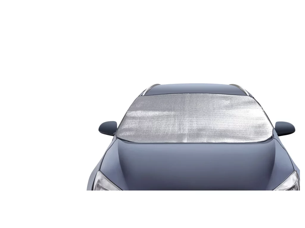 El nuevo favorito de las masas