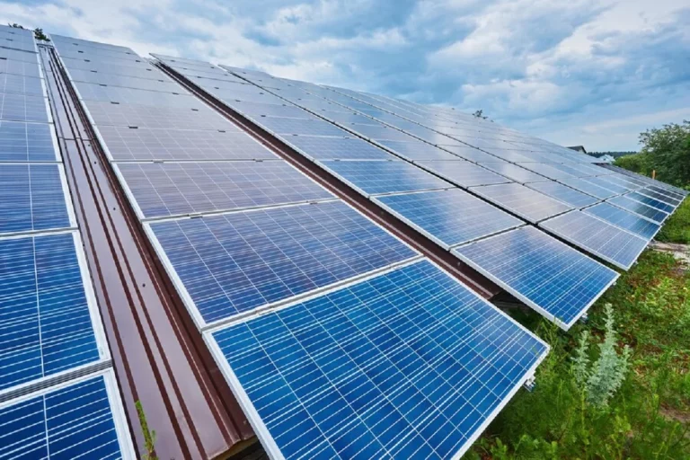 Placas solares en Málaga: Tasas e impuestos