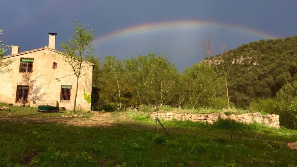 Razones detrás del cambio