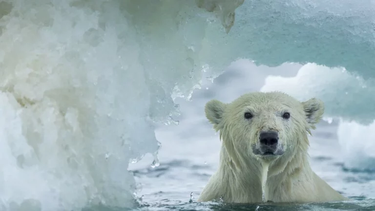 Se avecina un gravísimo desastre natural en menos de 3 años