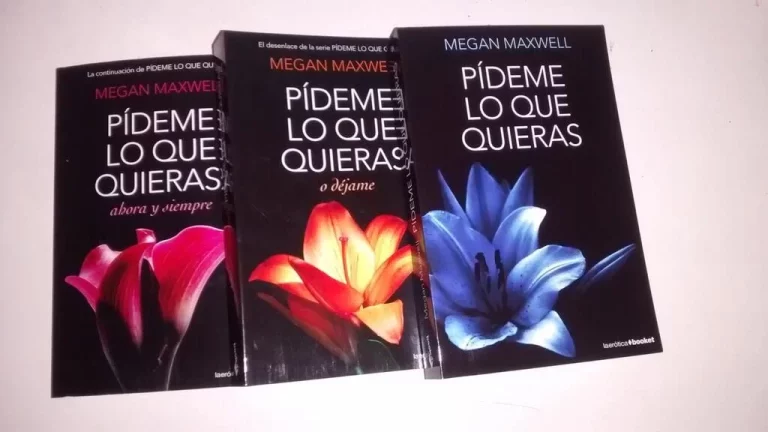Si te gusta 'Pídeme lo que quieras', de Megan Maxwell, te encantarán estos libros del mismo estilo