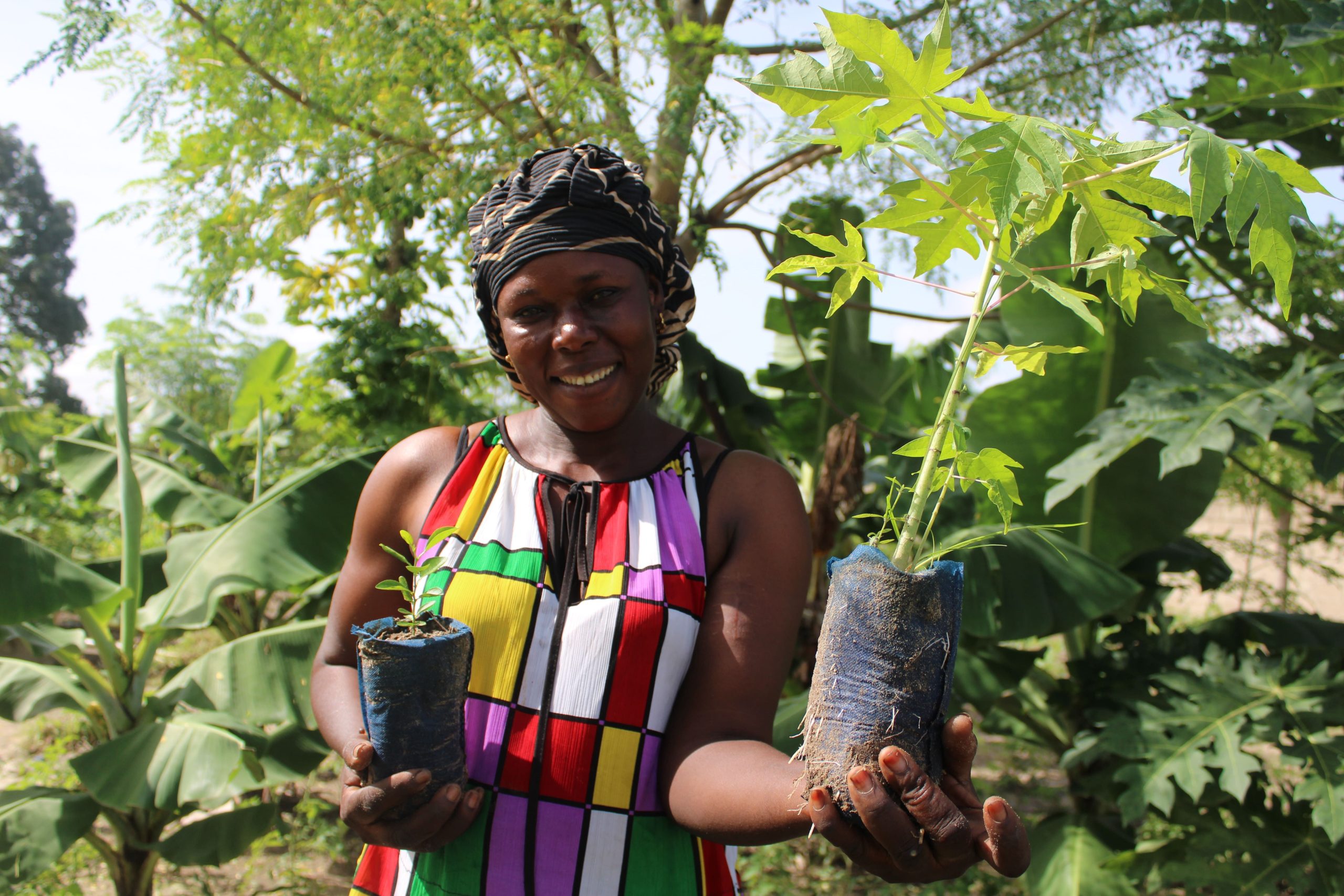 #GivingTuesday: Smoking Paper logra plantar más de 223.000 árboles con el apoyo de sus seguidores 1 Smoking Paper Giving Tuesday 1 1 scaled