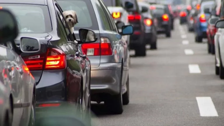 Por qué la DGT no quiere que viajes solo en el coche: aviso a las grandes ciudades