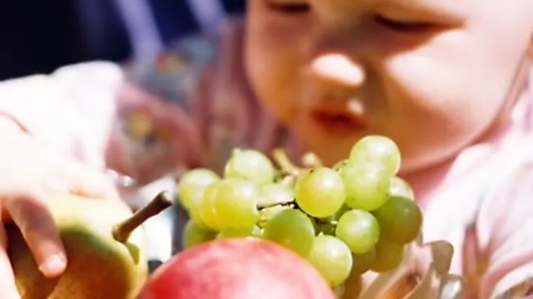 Verano y alimentación infantil: la OCU explica cómo cuidar lo que comen sin perder la magia de la temporada