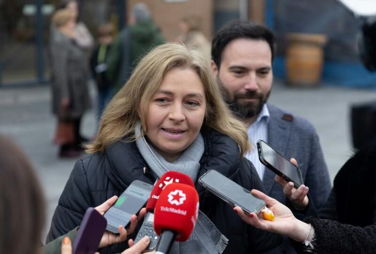 El Ayuntamiento de Madrid pide al Gobierno que le 