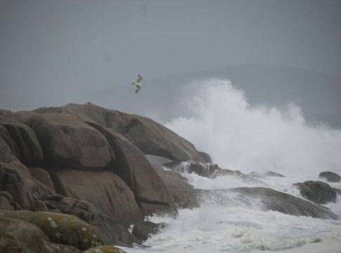 La borrasca 'Herminia' pone en alerta roja a varias comunidades autónomas de España La borrasca 'Herminia' pone en alerta roja a varias comunidades autónomas de España
