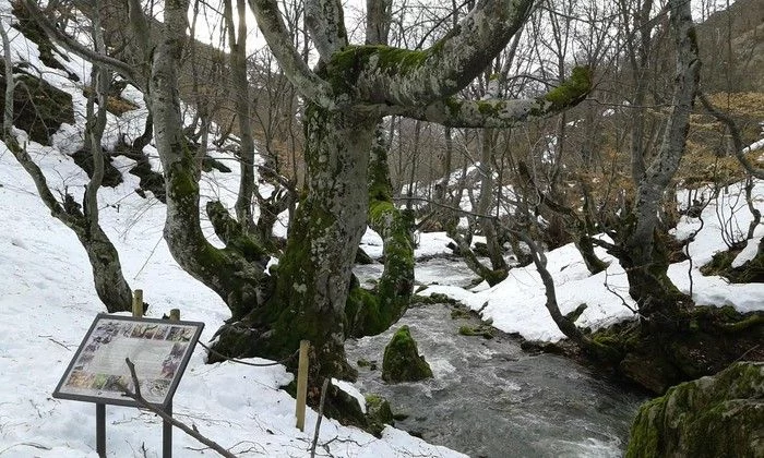 5 parques de España que en invierno parecen sacados de un cuento de hadas