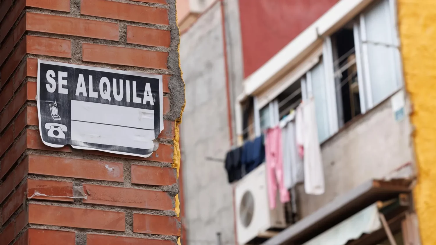 El 17% de los alquileres se cierra en un día: cómo competir si buscas piso 1 mercado alquiler 2026
