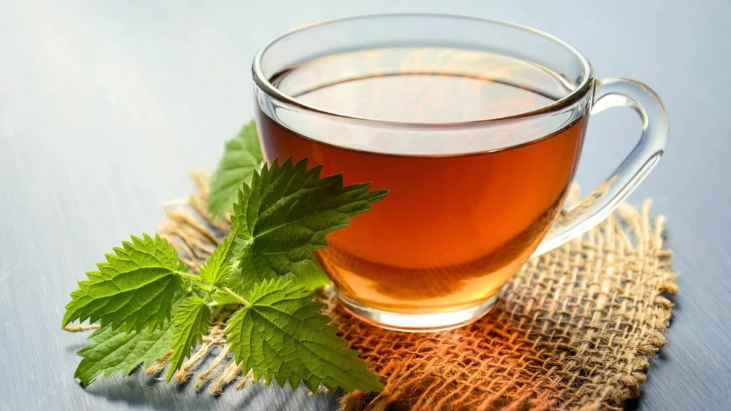 5 recetas de bebidas sin alcohol para combatir la resaca 15 Infusión de menta y manzanilla: calma al estómago rebelde