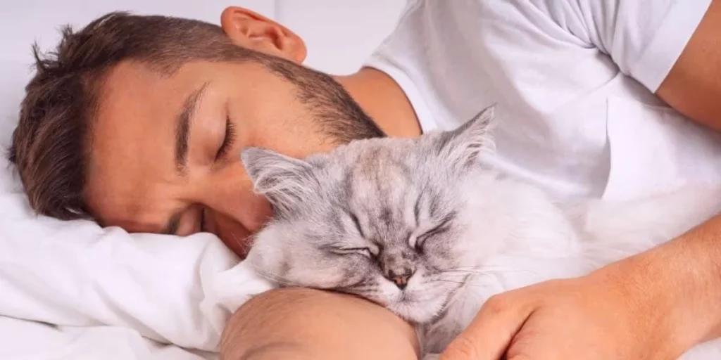 La respuesta del juez: "una demanda frívola"