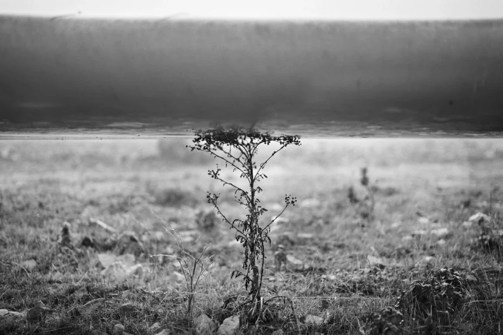 Pala de aerogenerador con un peso de 23 toneladas reposa sobre una planta ubicada en el parque Eolico de Aldeavieja