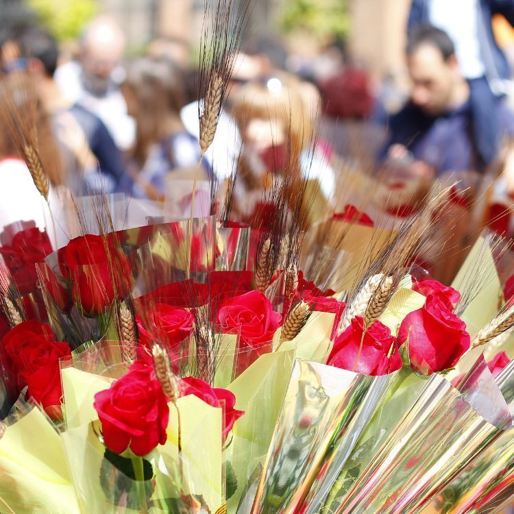 Puesto de rosas en una calle de barelona Sant Jordi 1 1 1