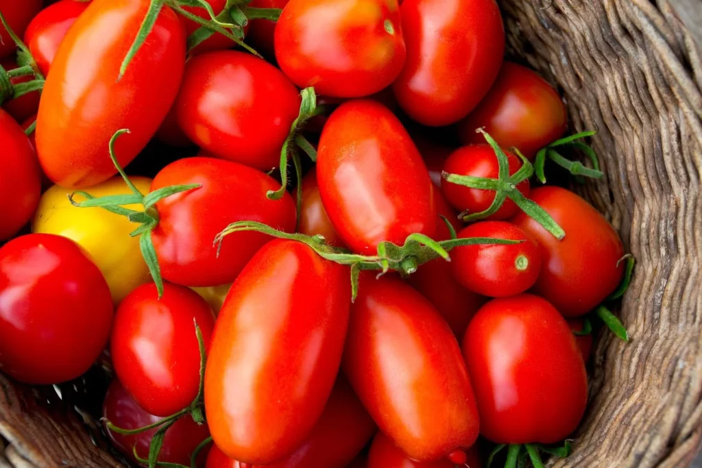 El tomate, el superalimento del verano: más hidratante que la sandía y lleno de beneficios para la salud 76 Más agua que la sandía: una opción ideal para los días de calor