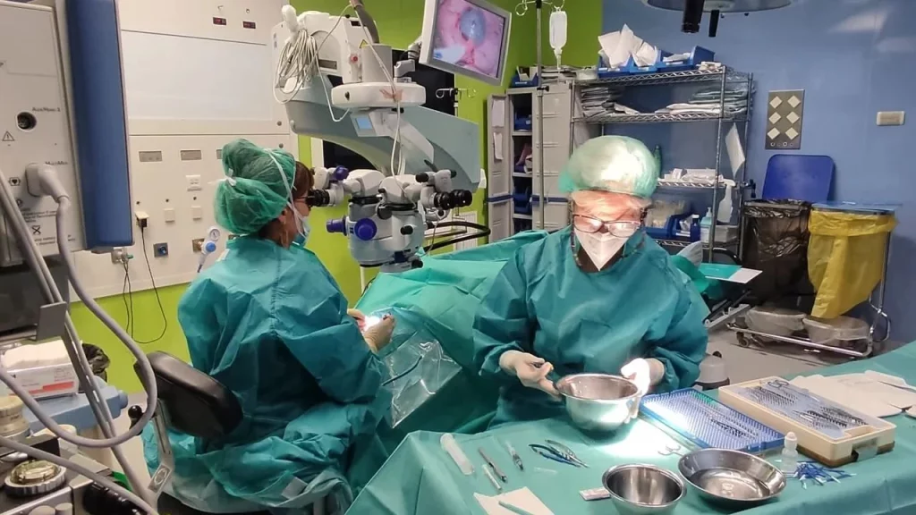 España se mantiene como referente mundial en donaciones de órganos 2 Un sistema sanitario ejemplar: la clave detrás del éxito español