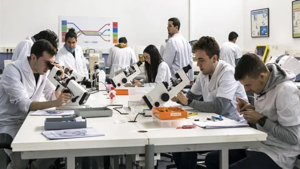 Un trampolín al empleo: el lado positivo de la FP