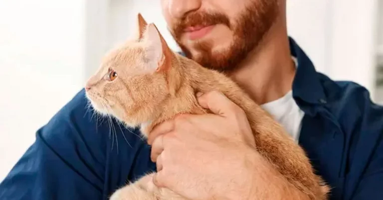 Una mujer demanda a su marido por darle más atención al gato que a ella