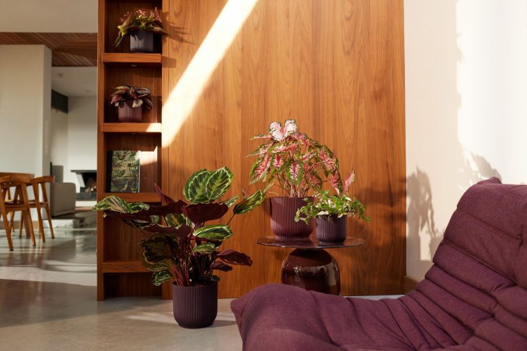 elho lanza sus nuevas colecciones de macetas para interiores