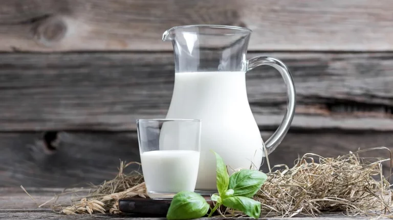 Qué tipo de leche es mejor, ¿entera, semidesnatada o desnatada? Por fin sabemos la respuesta