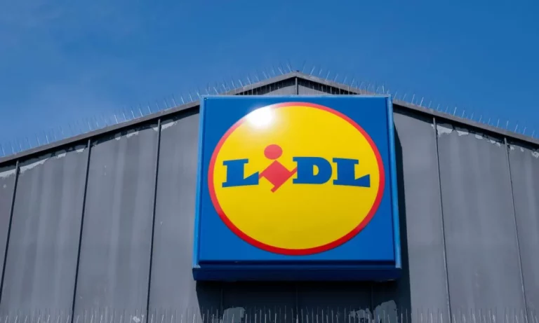 El transportín de Lidl que está cambiando el verano de quienes viajan con mascotas