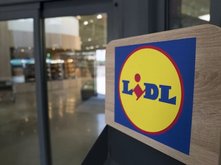 El utensilio de Lidl que cambiará tus ensaladas este verano es un éxito y cuesta menos de 9 euros