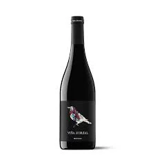Viña Zorzal Graciano: Innovación de Navarra