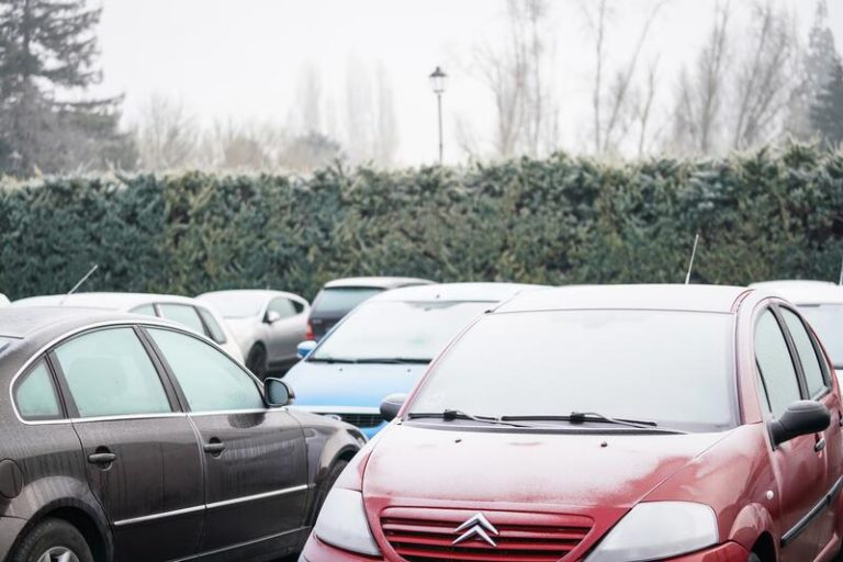 Las mínimas descienden hoy y las heladas se extenderán por la Meseta Norte; ¡en el Mediterráneo alcanzaremos los 20ºC!