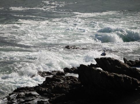 Previsión del tiempo de la AEMET: Llegan las lluvias con una borrasca Previsión del tiempo de la AEMET: Llegan las lluvias con una borrasca