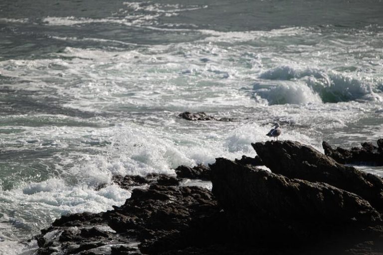 Previsión del tiempo de la AEMET: Llegan las lluvias con una borrasca