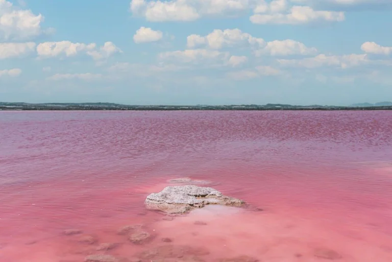 Existe un lago que se tiñe de rosa cada verano