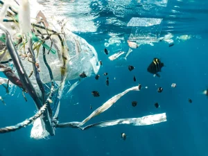 Los microplásticos se vuelven químicamente activos en el agua: el aviso de Nature sobre tu salud