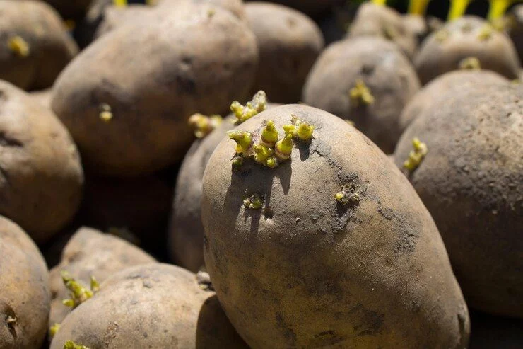 Otros trucos para conservar tus patatas perfectas