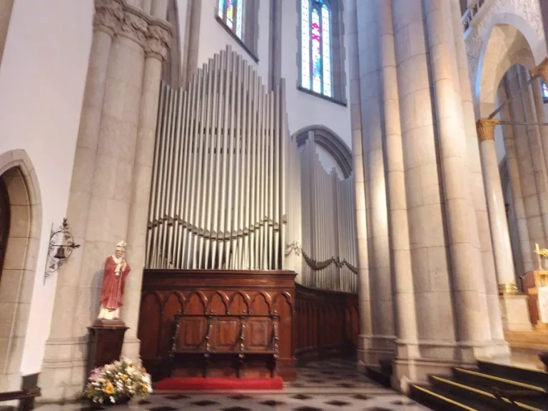 San Paulo: Santoral día 8 de febrero del 2025