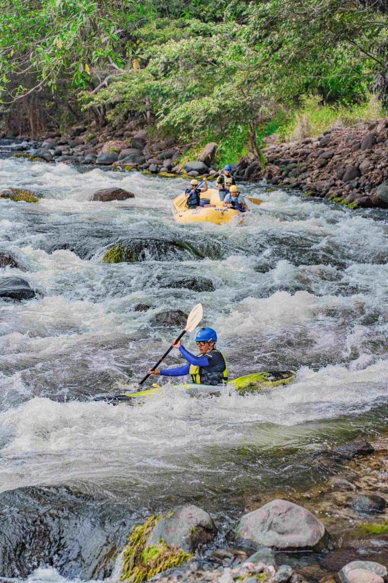 El Estado Mexicano de Veracruz deja huella en FITUR 2025