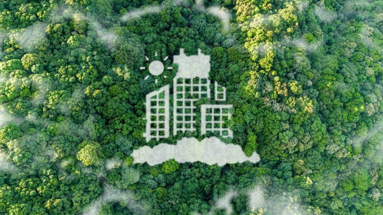 Pandora Energía, la propuesta de Pandora Future SA por unir sostenibilidad e inteligencia artificial