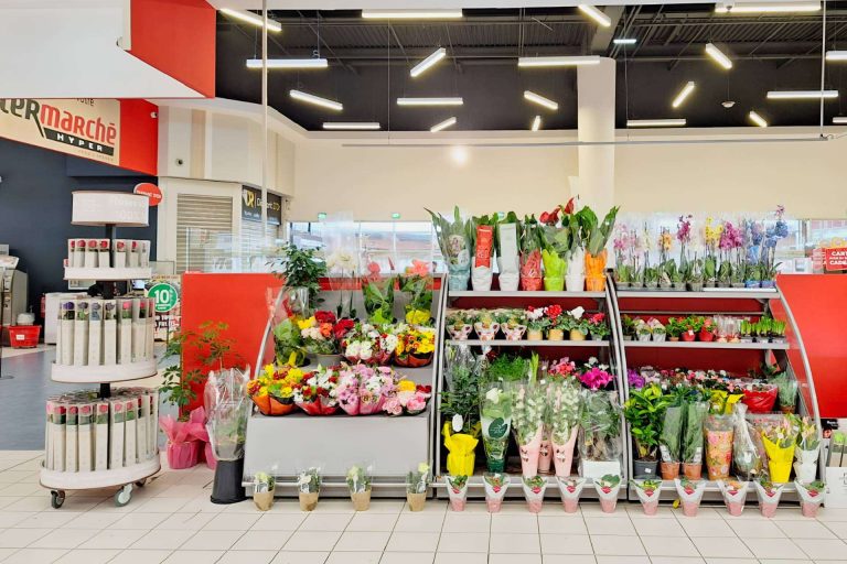 Verdissimo Lanza un Display Innovador para Transformar el Mercado de Rosas Preservadas