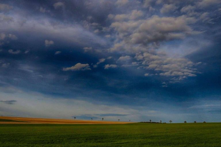 Grupo M MSC; una solución integral en asesoría energética y compraventa de vehículos para empresas y particulares