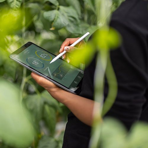 Atos y Venator implementan con éxito la plataforma de Huella de Carbono de Producto de Eviden