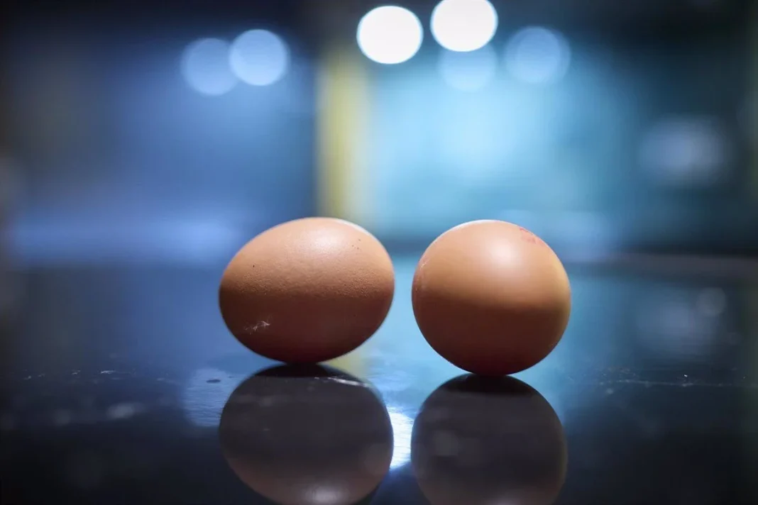 La advertencia de la OCU: no todos los huevos camperos del supermercado cumplen lo que prometen