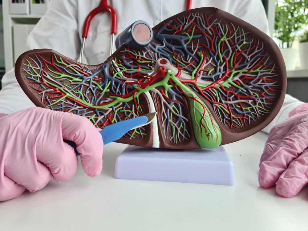 HIDRATACIÓN ADECUADA PARA MEJORAR LA FUNCIÓN PÁNCREAS