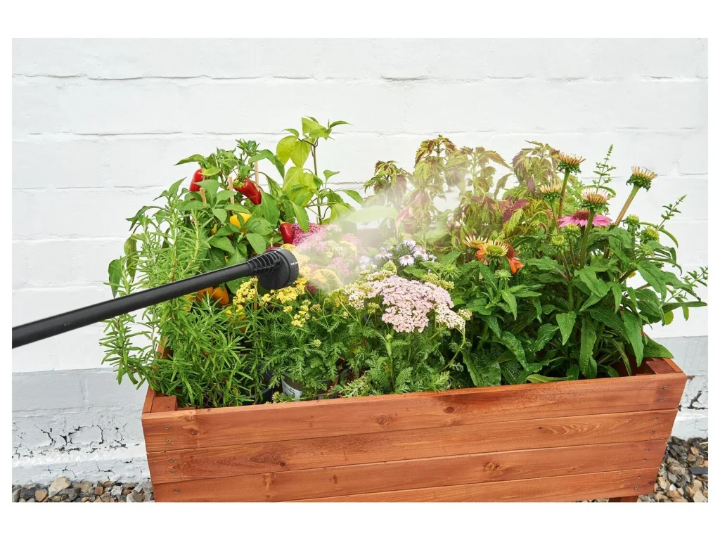 Dónde adquirirla y consejos de compra