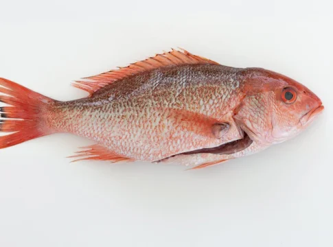 Nutritivo, seguro y delicioso: el pescado con más omega-3 y sin mercurio Nutritivo, seguro y delicioso: el pescado con más omega-3 y sin mercurio