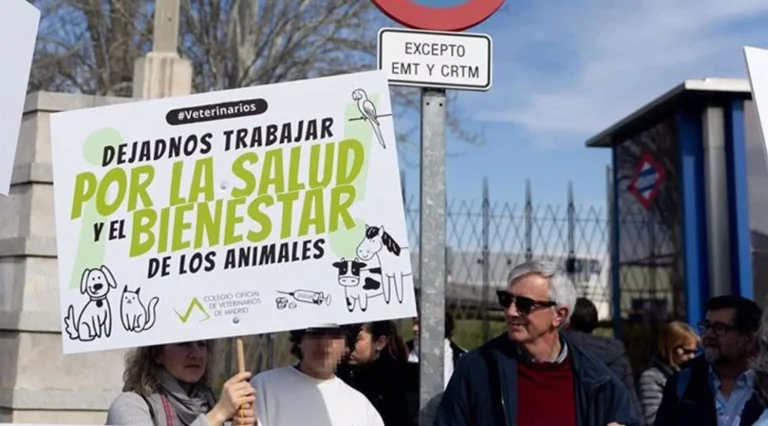 «Los están dejando morir»: Los veterinarios paralizan España por la nueva ley animal y el IVA