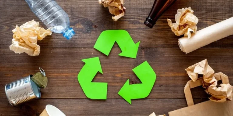 Bolsas recicladas: la opción eco-friendly que transforma tu comercio