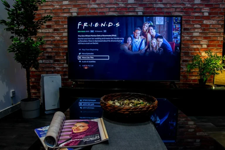 ¿Netflix te parece demasiado caro? Estas son sus mejores alternativas gratuitas