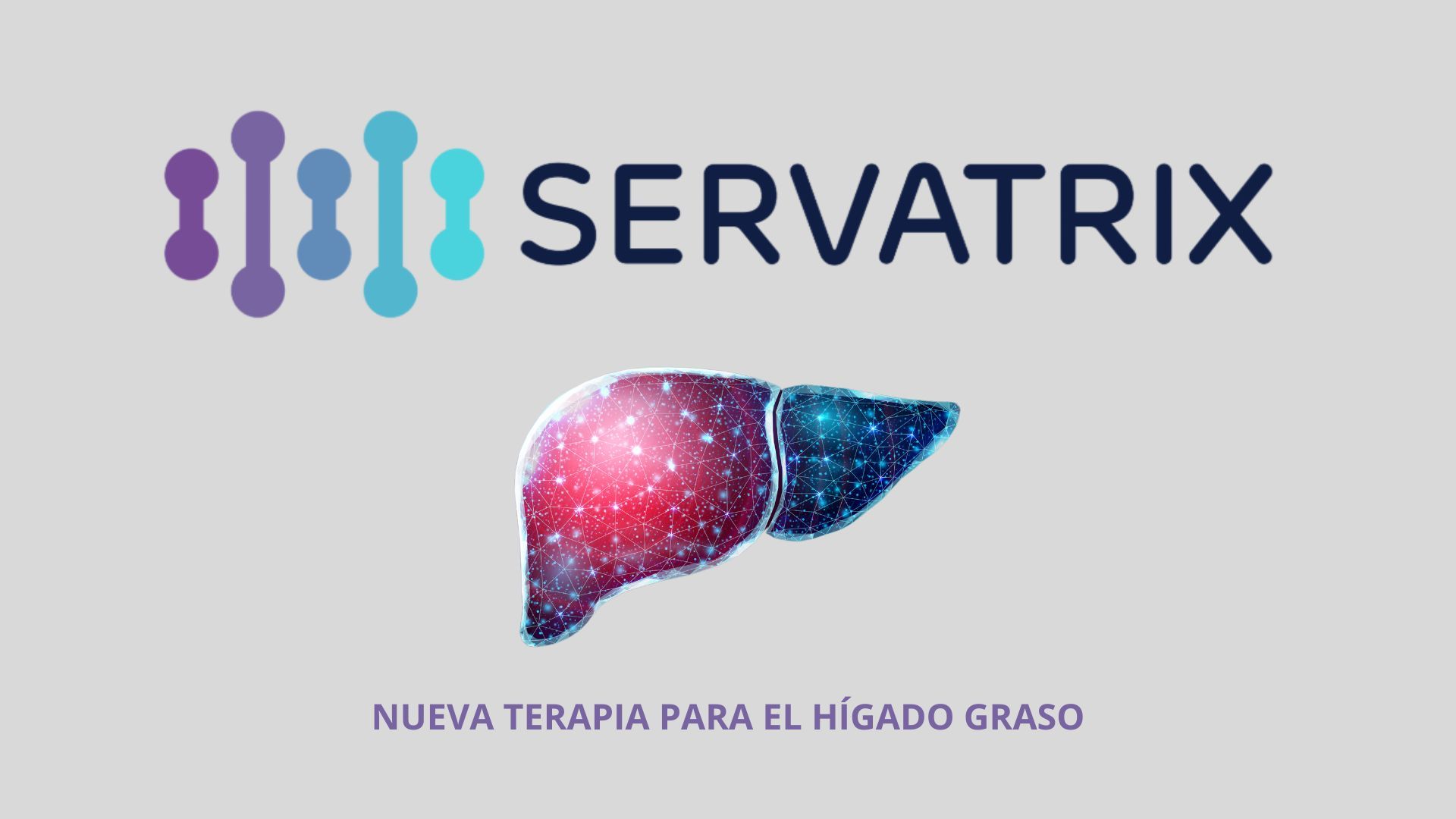 Servatrix Biomed, prepara una ronda de inversión para impulsar su tratamiento contra el hígado graso 1 Green Corporate Minimalist Infographic Presentation Collection