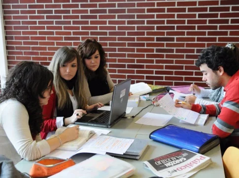 Reacciones y preocupaciones. las voces de los afectados por el nuevo decreto Reacciones y preocupaciones: las voces de los afectados por el nuevo decreto