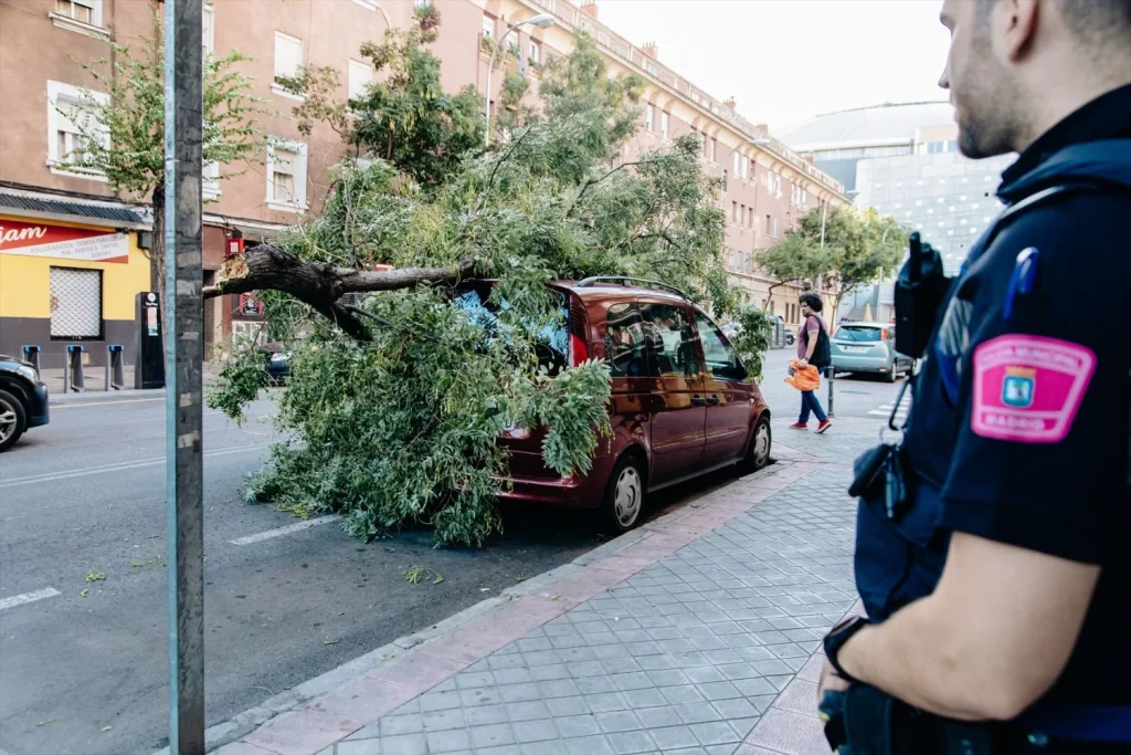 Un árbol caído sobre un coche en la ciudad Madrid